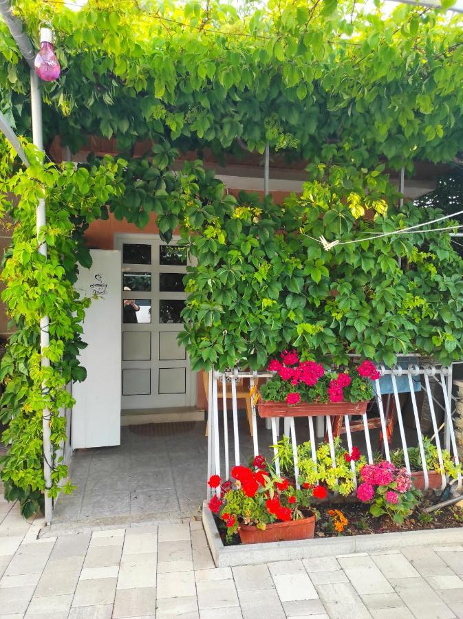 Apartments M&R Spadina Vodice Dış mekan fotoğraf